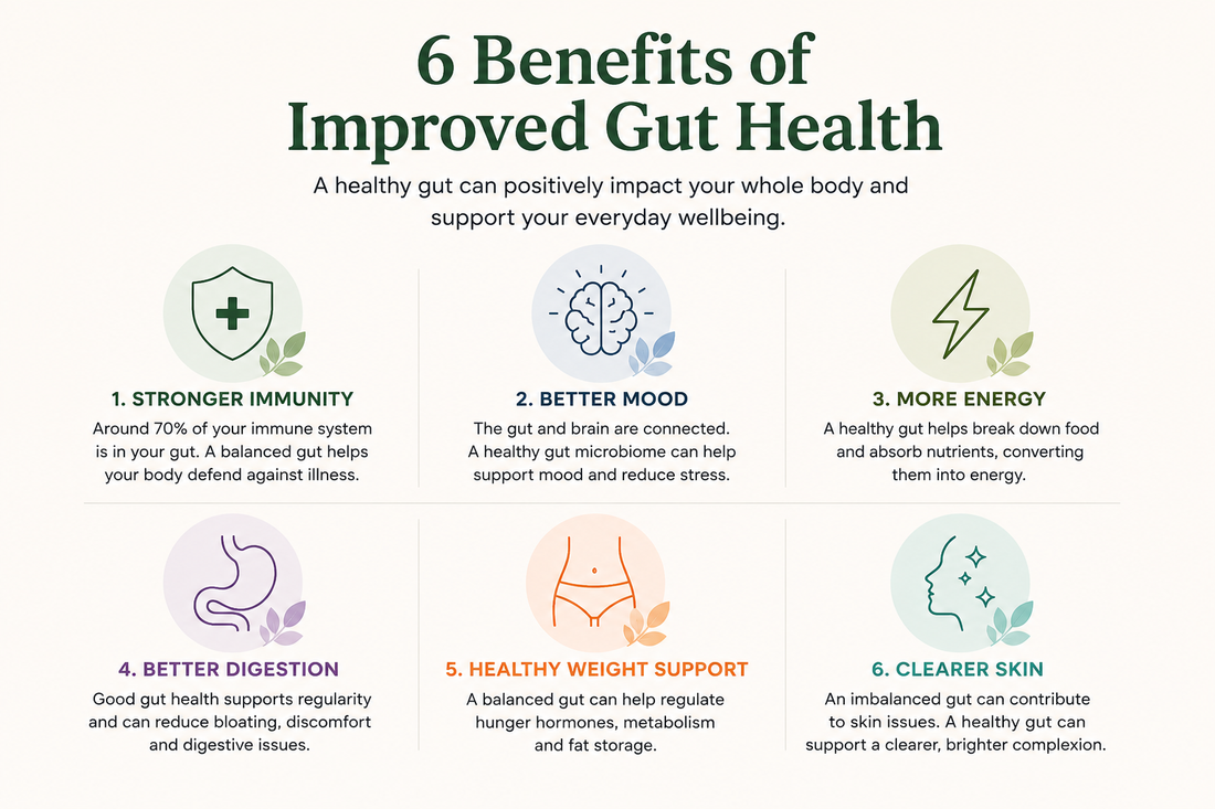 Prebiotics vs Probiotics: What's the Difference, and Which Does Your Gut Actually Need?