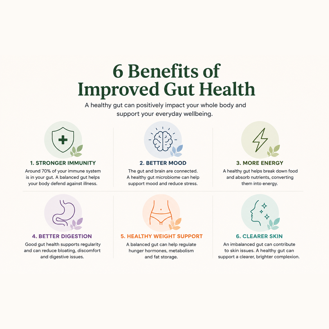 Prebiotics vs Probiotics: What's the Difference, and Which Does Your Gut Actually Need?